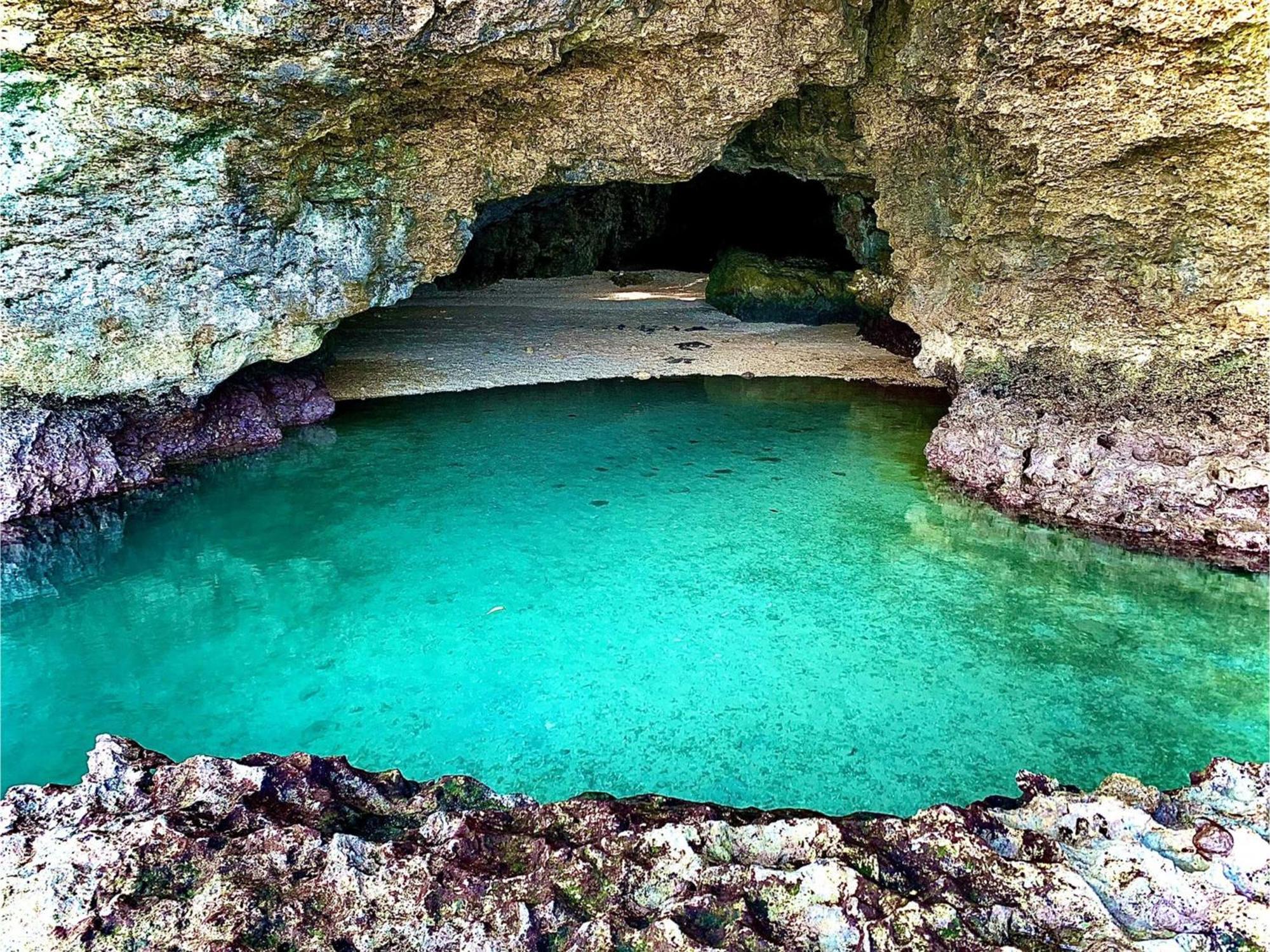 Asibina * Ishigaki (Okinawa)